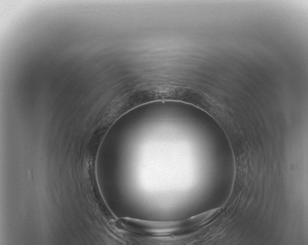 X0000054420225200508051814