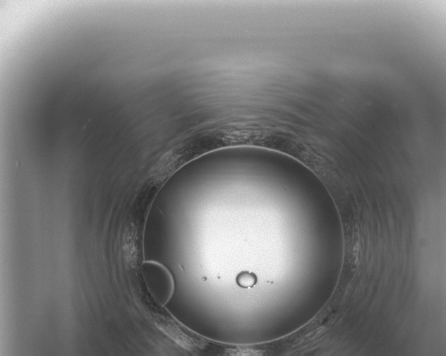 X0000054420226200508051814