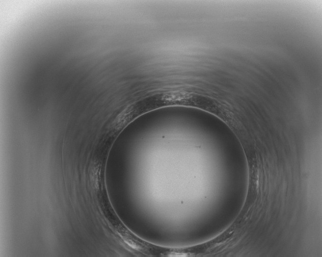 X0000054420227200508051814