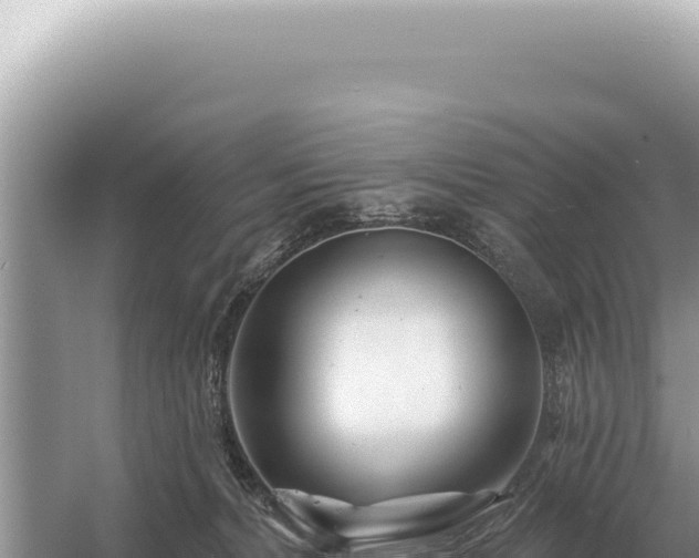 X0000054420228200508051814