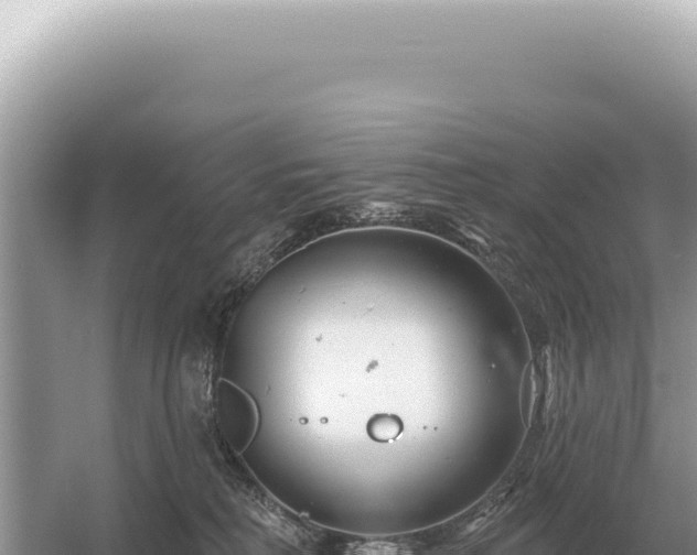 X0000054420230200508051814