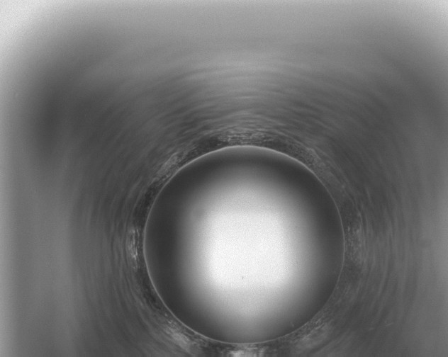 X0000054420232200508051814