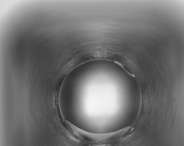 X0000054420233200508051814