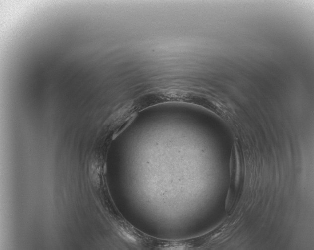 X0000054420235200508051814