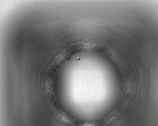 X0000054420236200508051814