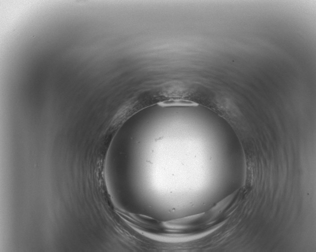 X0000054420237200508051814