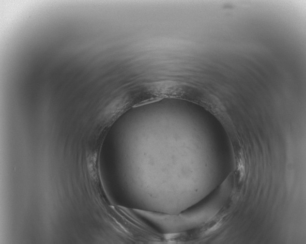 X0000054420239200508051814