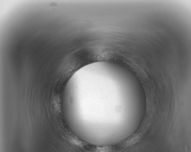 X0000054420240200508051814