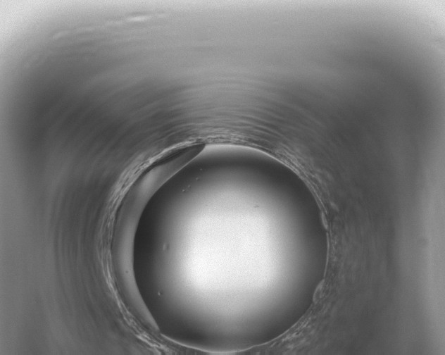 X0000054420241200508051813