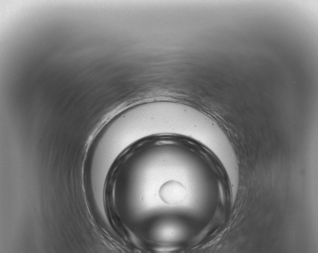 X0000054420244200508051813