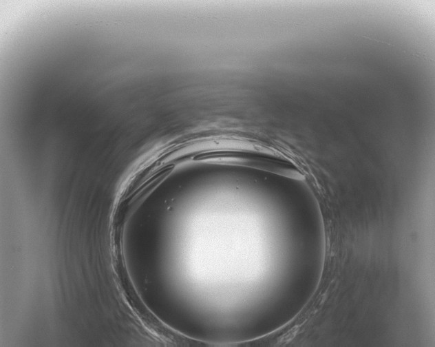 X0000054420245200508051813