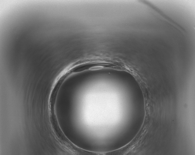 X0000054420246200508051813