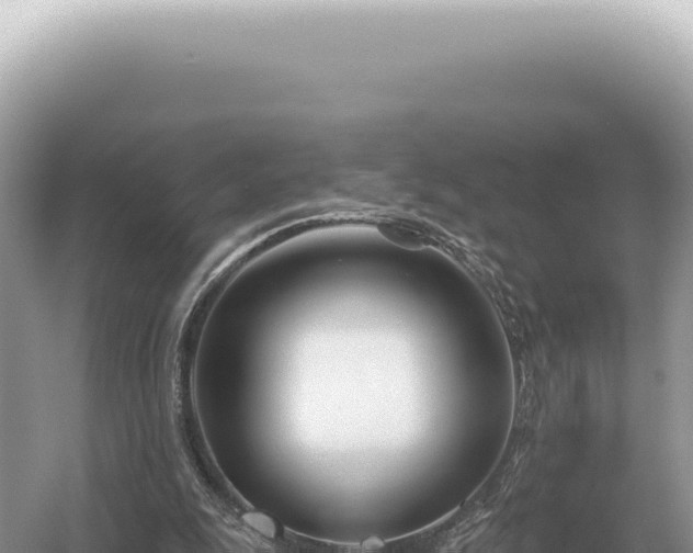 X0000054420247200508051813