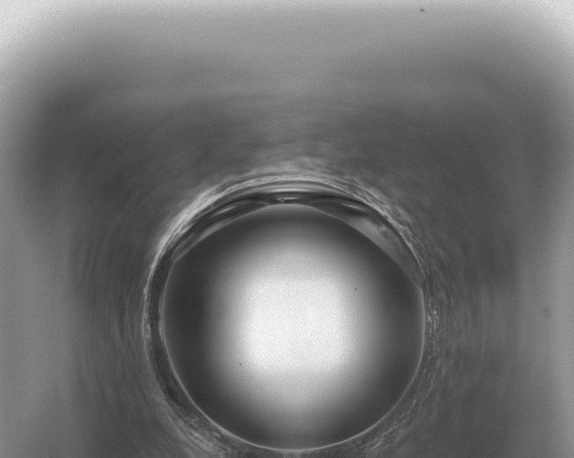 X0000054420248200508051813