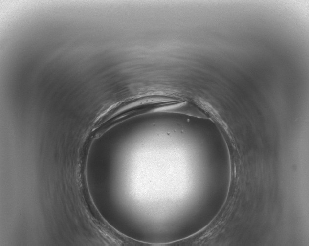 X0000054420249200508051813