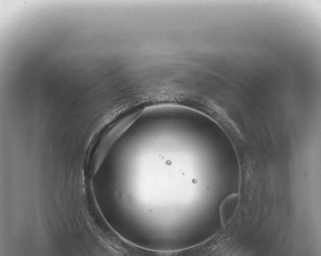 X0000054420250200508051813