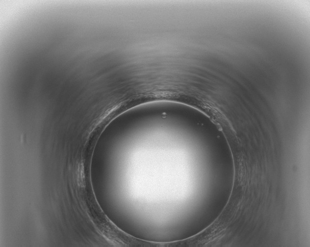 X0000054420251200508051813