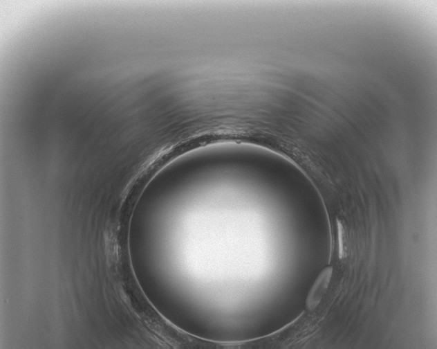 X0000054420252200508051813