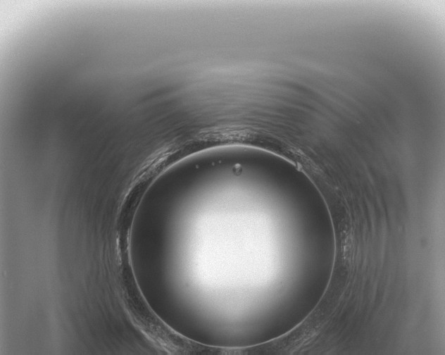 X0000054420254200508051813