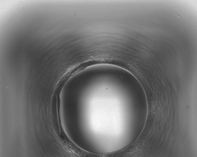 X0000054420256200508051813