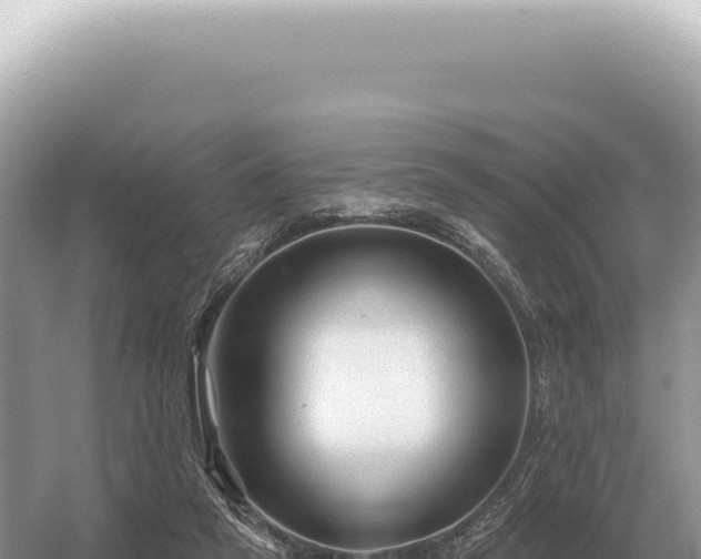 X0000054420257200508051813