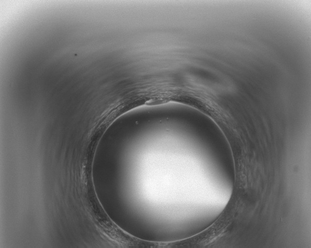 X0000054420258200508051813