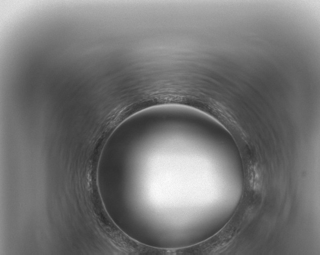 X0000054420259200508051813