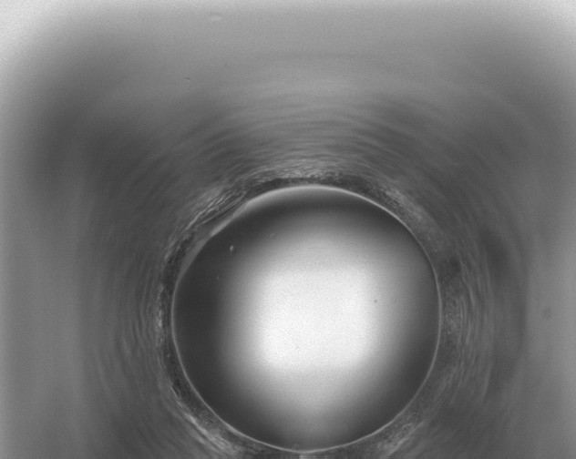 X0000054420261200508051813