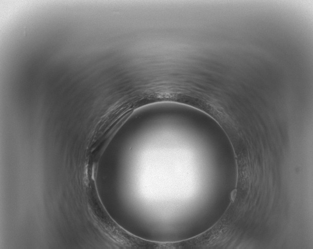 X0000054420262200508051813