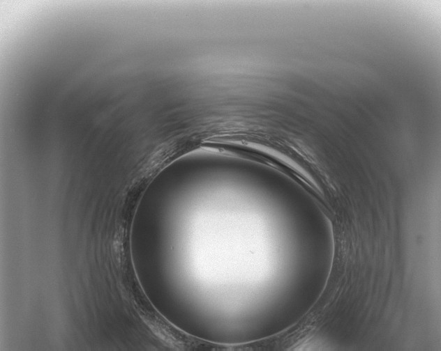 X0000054420265200508051813