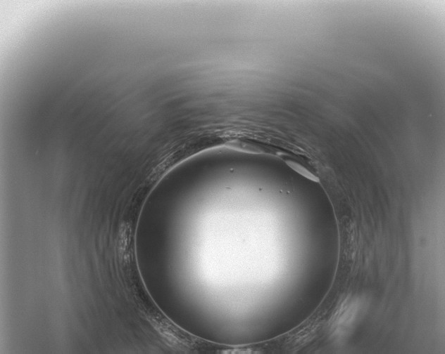 X0000054420273200508051814