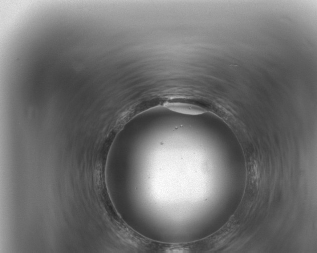 X0000054420283200508051814