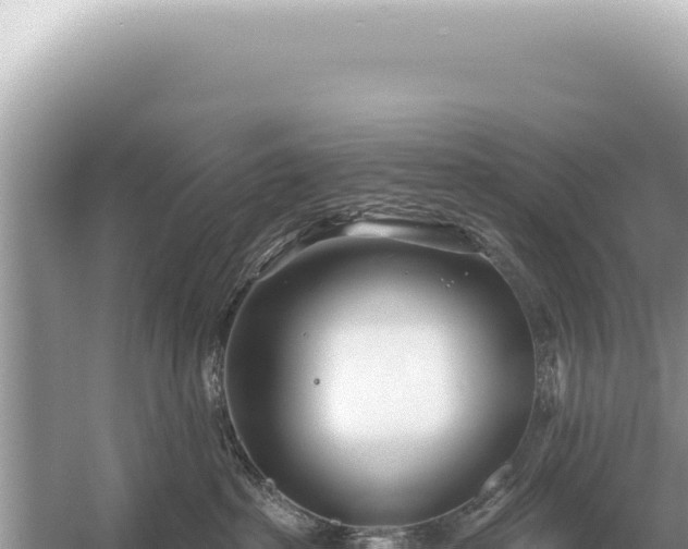 X0000054420285200508051814