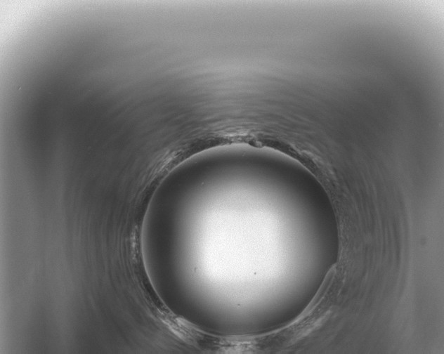 X0000054420288200508051814