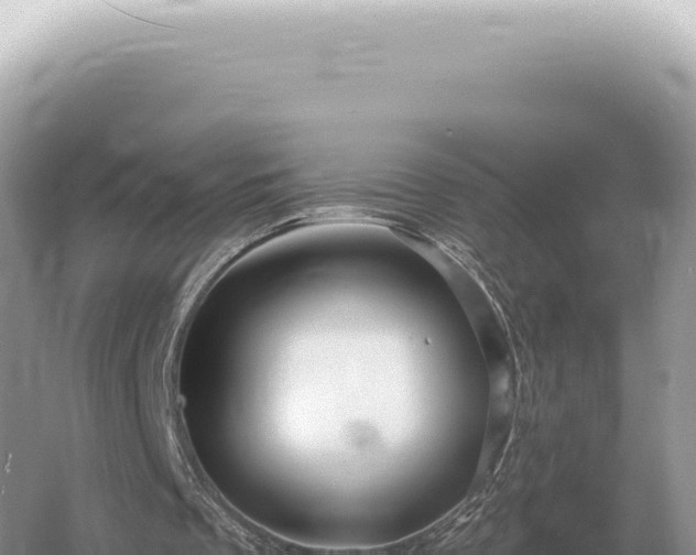 X0000054420289200508051813