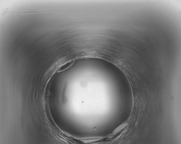 X0000054420290200508051813