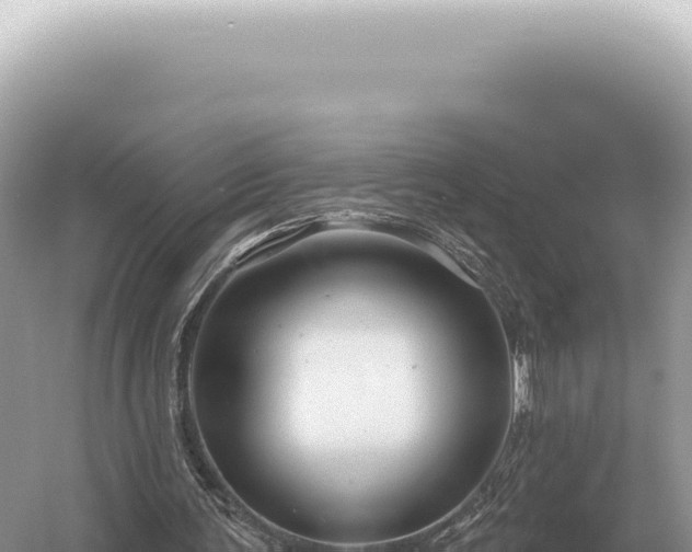 X0000054420291200508051813