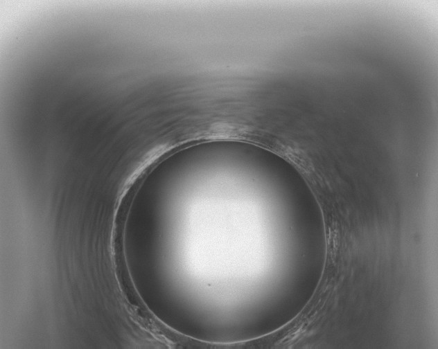 X0000054420292200508051813