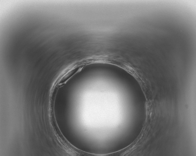 X0000054420293200508051813