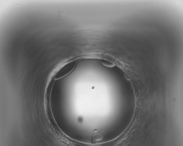 X0000054420294200508051813