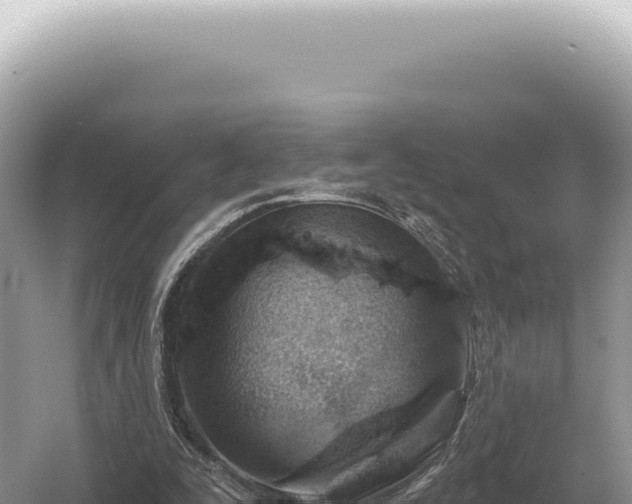 X0000054420295200508051813