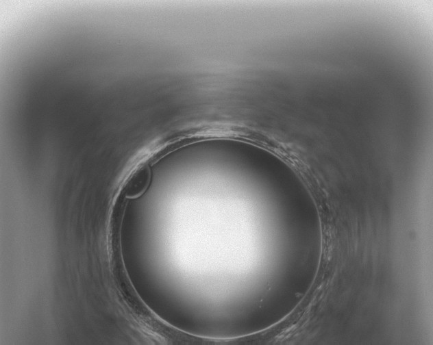 X0000054420296200508051813