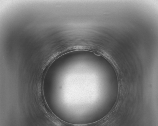 X0000054420297200508051813