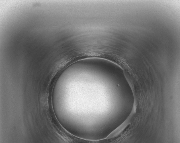 X0000054420299200508051813