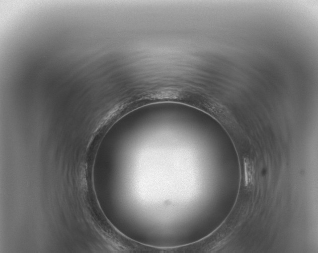 X0000054420300200508051813