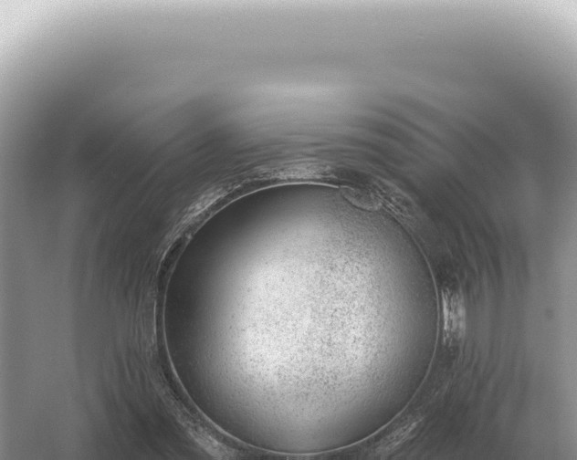 X0000054420301200508051813