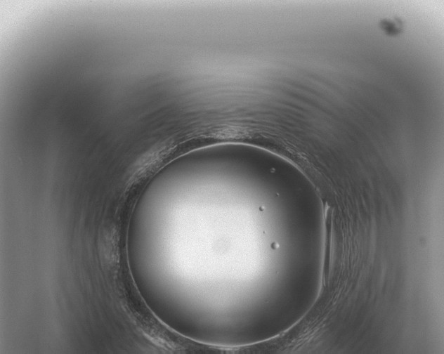 X0000054420303200508051813