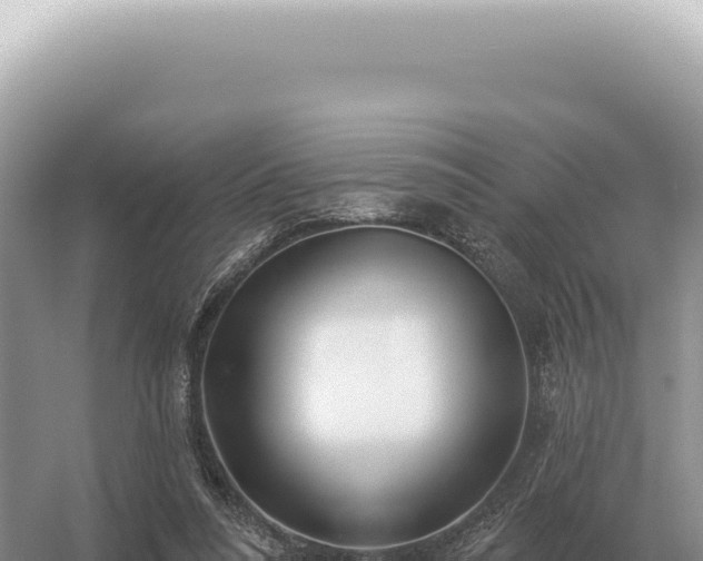 X0000054420304200508051813