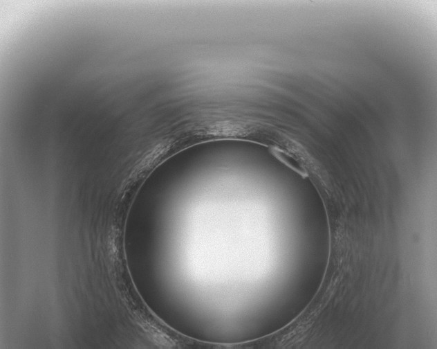 X0000054420305200508051813