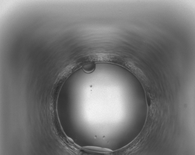 X0000054420306200508051813